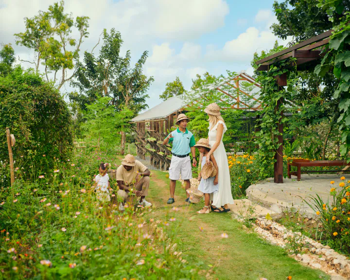 Gardener tending AYANA Farm