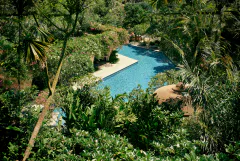 RIMBA Cabana Pool framed by bougainvillea
